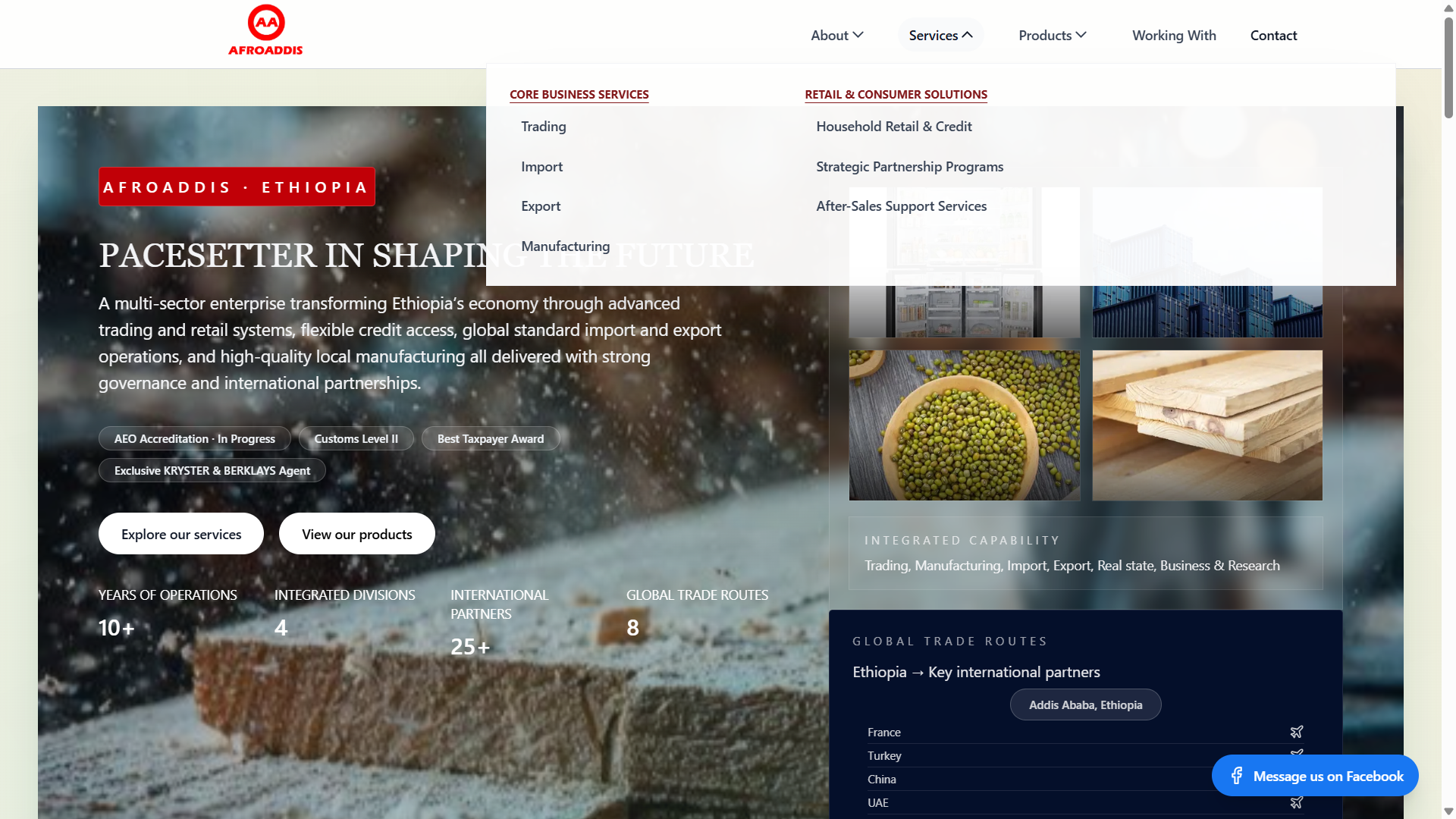 AfroAddis landing page
